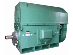 高港Y系列6KV高压电机
